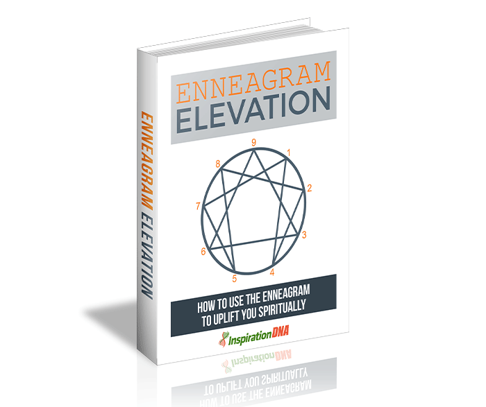 Enneagram Elevation Master resell rights eBook