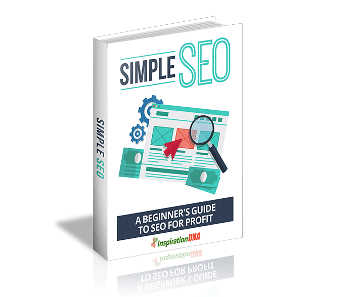 Simple SEO: A Beginners Guide To SEO For Profits Private Label Rights eBook