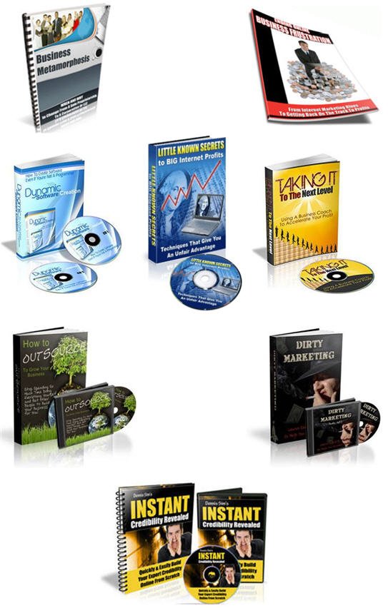 Internet Marketing Business Building Niche PLR Mega Bundle