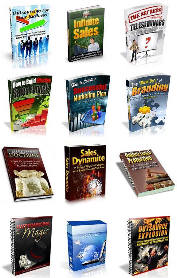 Internet Marketing Business Building Niche PLR Mega Bundle