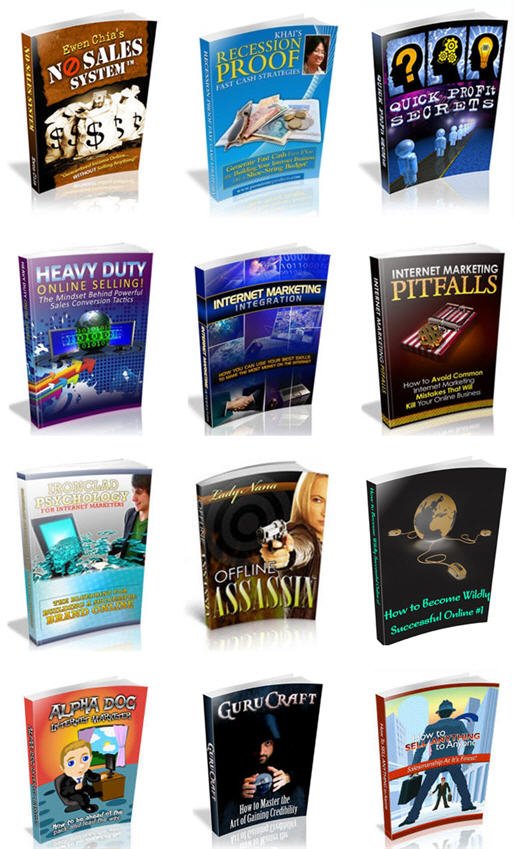 Internet Marketing Business Building Niche PLR Mega Bundle