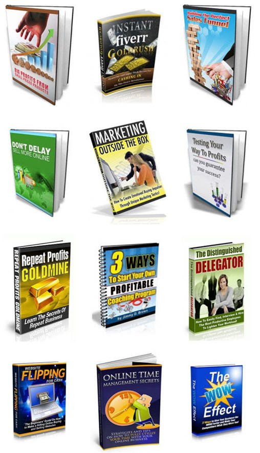 Internet Marketing Business Building Niche PLR Mega Bundle