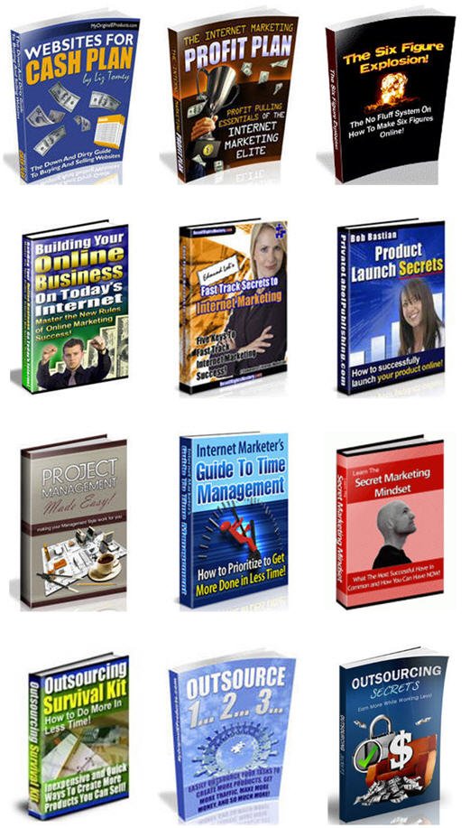 Internet Marketing Business Building Niche PLR Mega Bundle