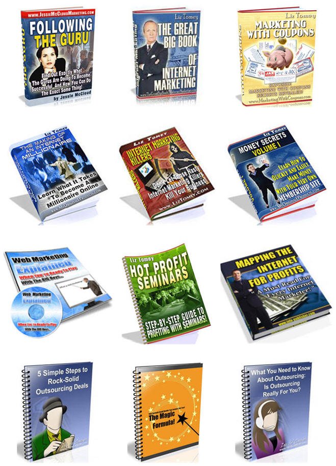 Internet Marketing Business Building Niche PLR Mega Bundle