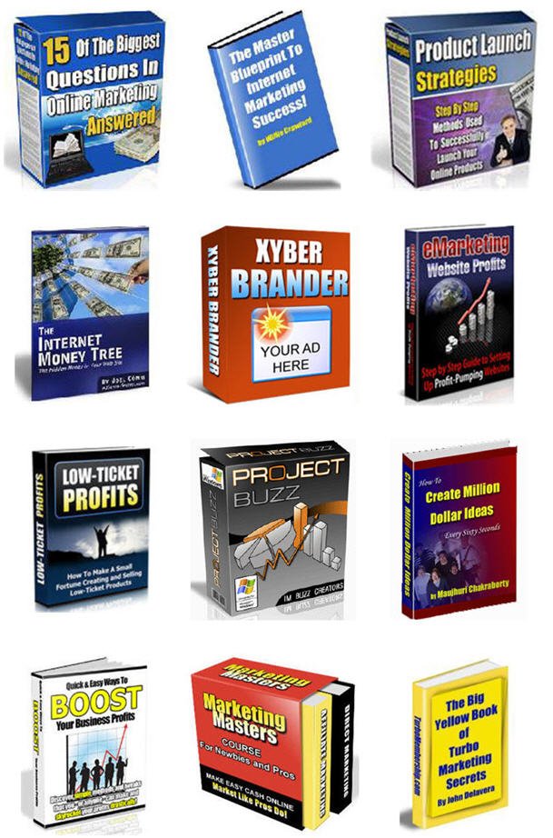 Internet Marketing Business Building Niche PLR Mega Bundle