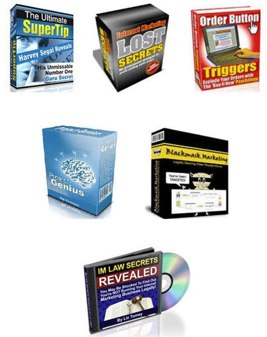 Internet Marketing Business Building Niche PLR Mega Bundle