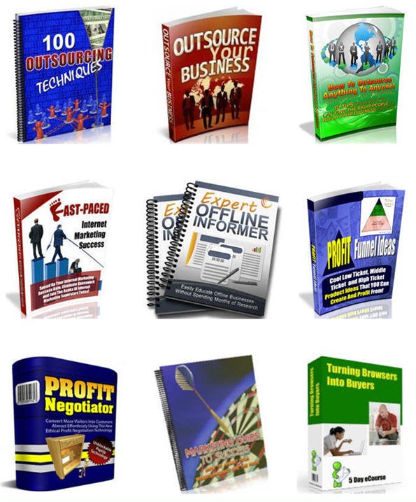 Internet Marketing Business Building Niche PLR Mega Bundle