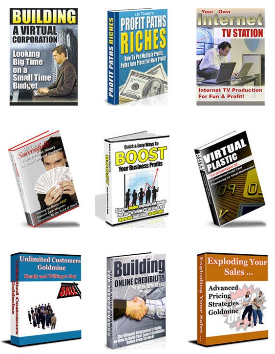 Internet Marketing Business Building Niche PLR Mega Bundle