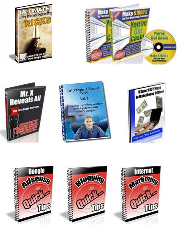 Internet Marketing Business Building Niche PLR Mega Bundle