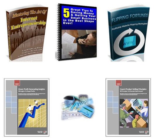 Internet Marketing Business Building Niche PLR Mega Bundle