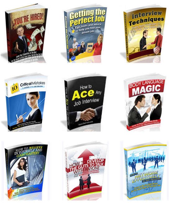 BUSINESS & Careers Niche PLR Mega Bundle